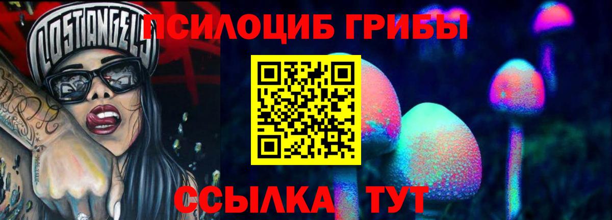 Псилоцибиновые грибы Psilocybine cubensis  Вход с VPN  Галлюциногенные грибы GOLDEN TEACHER  Кандалакша 